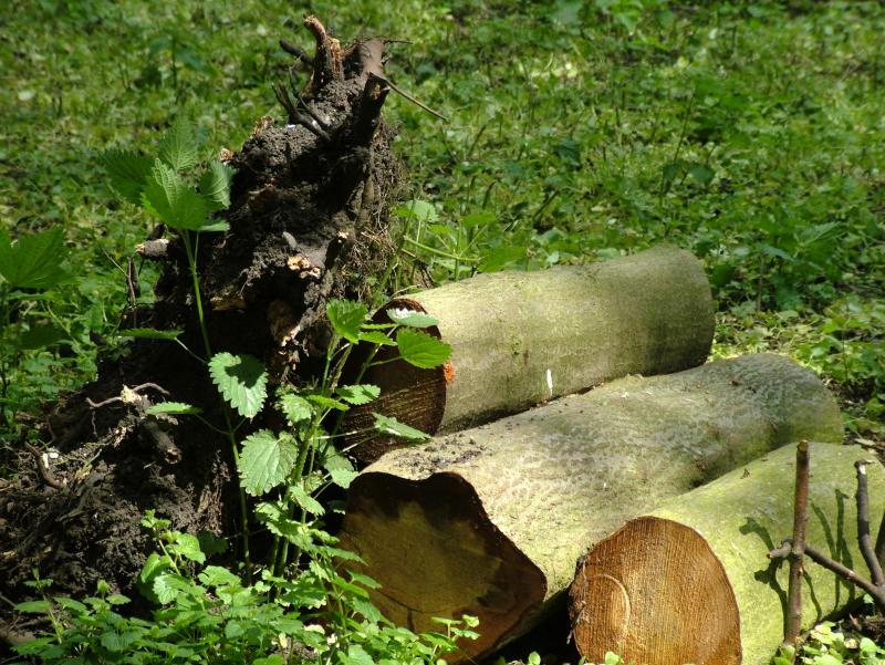 LOGS