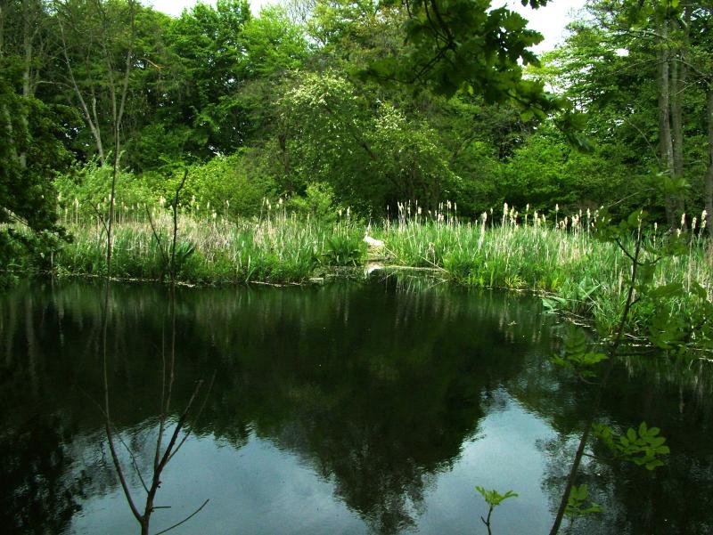 ON REFLECTION