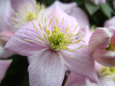 DSCF3953.JPG