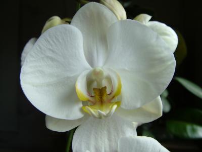 DSCF4628.JPG