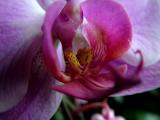 DSCF4631.JPG