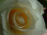 DSCF4643.JPG