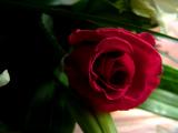 DSCF4645.JPG