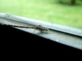 DSCF5037.JPG