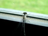 DSCF5040.JPG