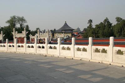 View from the Center