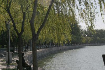 Along Lake Kunming
