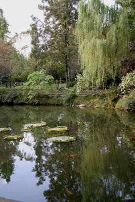 The Lotus Pavilion