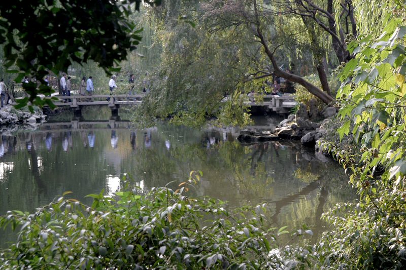 The Lotus Pavilion