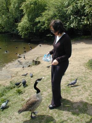 Debbie Feeds a Goose, Hampstead Heath (5/6)