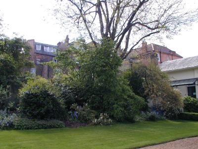 Backyard Garden, Keats House (5/6)