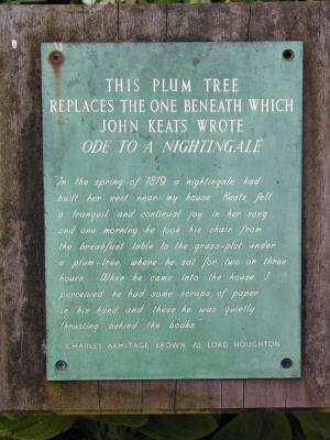 Plum Tree Plaque, Keats House (5/6)