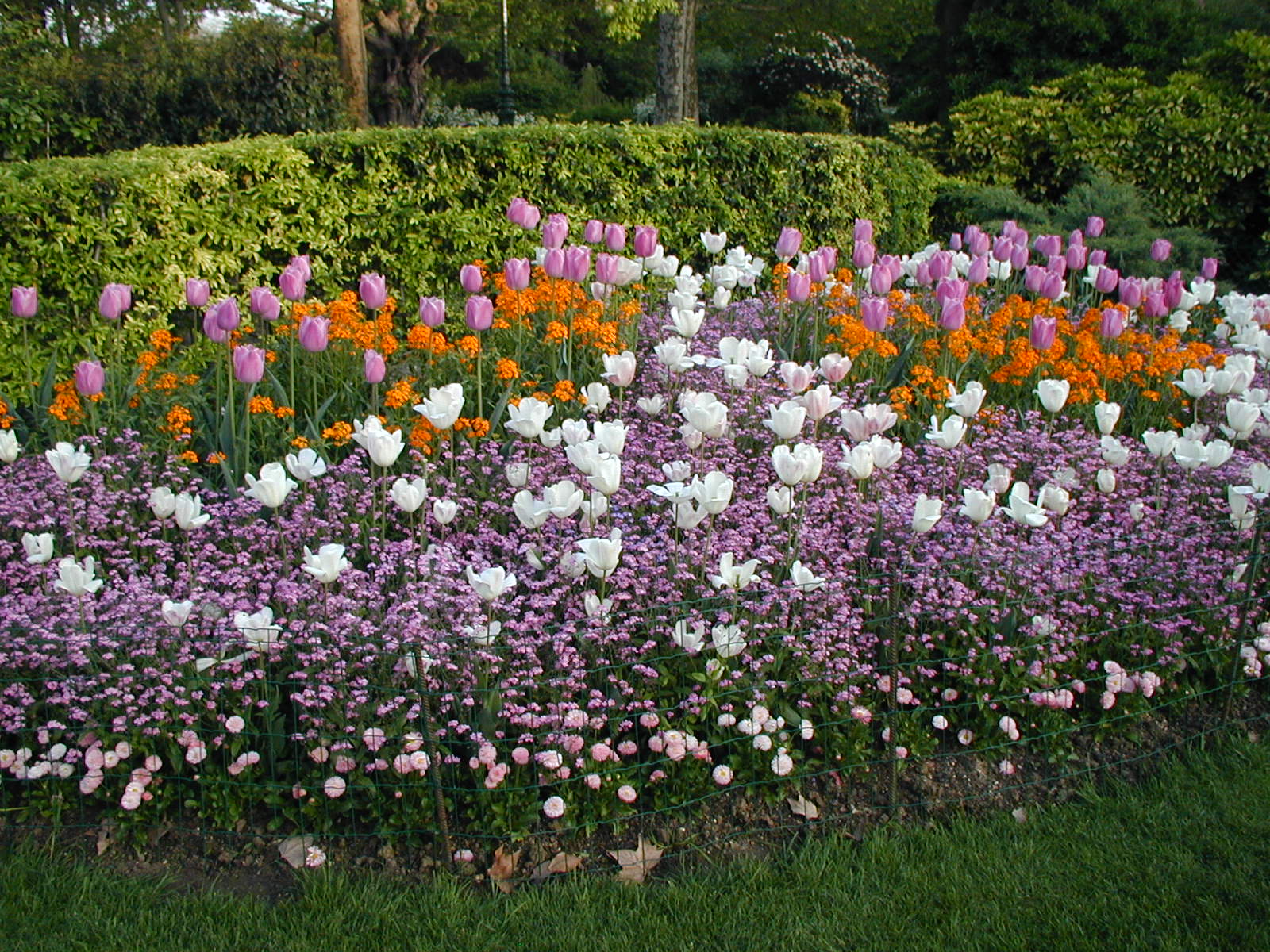 Flowerbeds Near the Eiffel Tower (4/29)