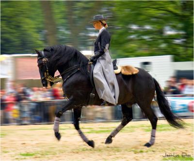 u26/jle56/medium/43638511.spaansedressuur.jpg