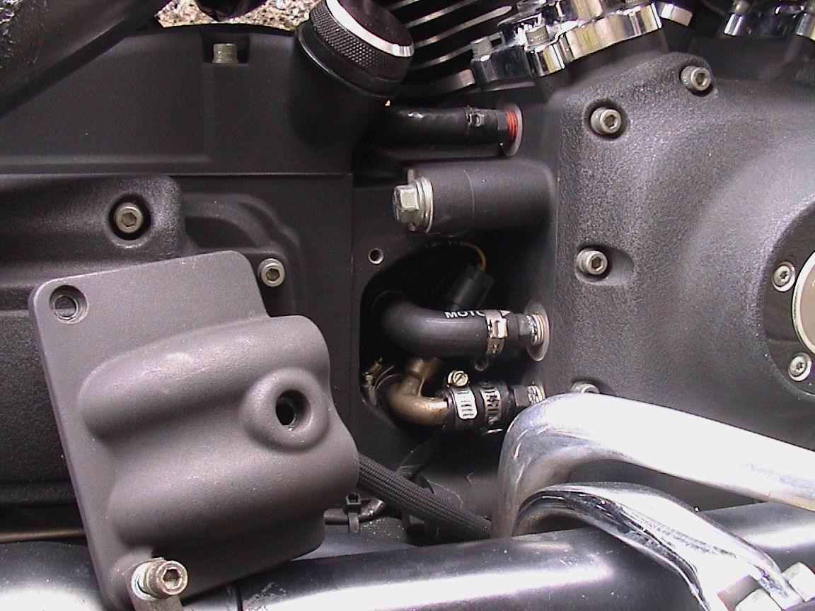 Oil temp fitting.JPG