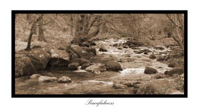 Dartmoor Devon