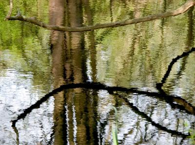Time to reflect...