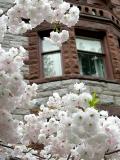 Brown Quad May 9 2005 p.jpg