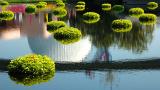 Reflection at Epcot May 12 2005 p.jpg