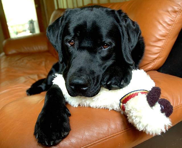 Java on May 21 2005 p.jpg