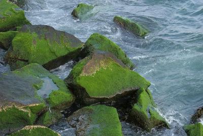 Green in dark waters