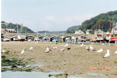 Looe Bridge, Cornwall, on the riverbed at low tide looking upriver