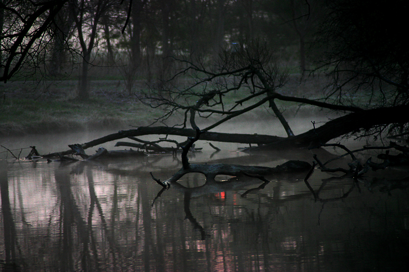 Riverbank 02.jpg