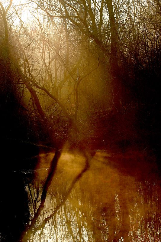 Riverbank 20.jpg