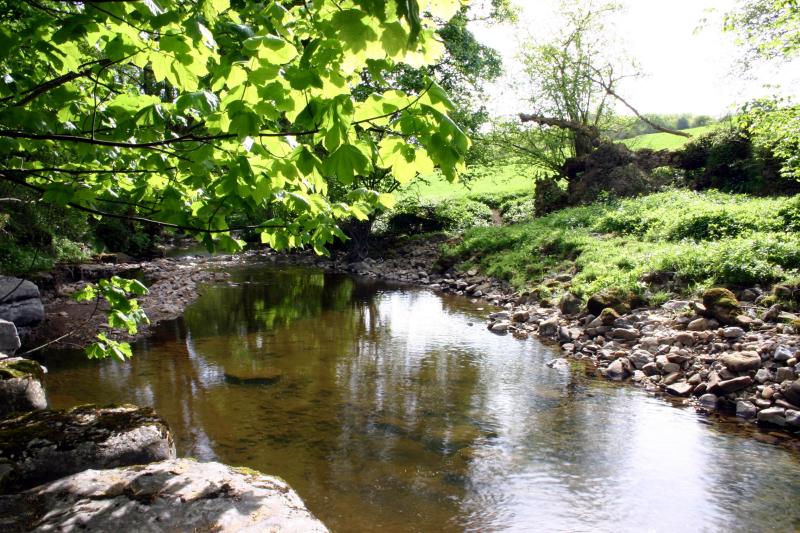 Bollihope burn.jpg