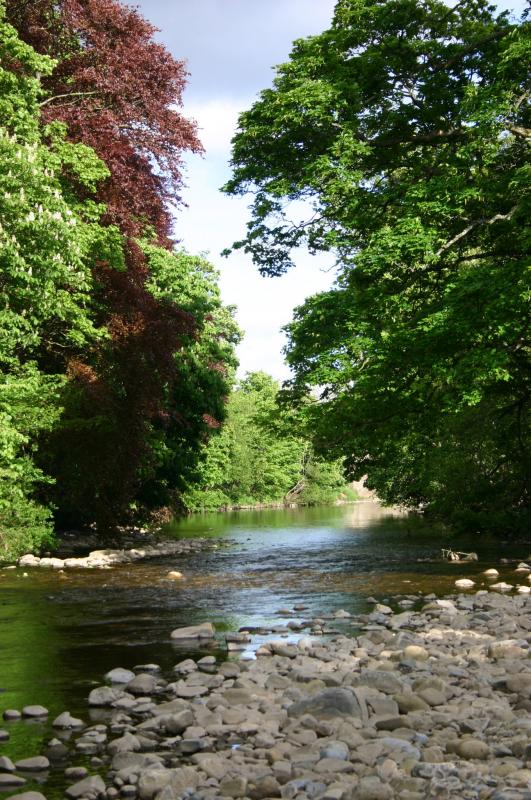 The River Wear