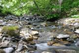 Bollihope burn