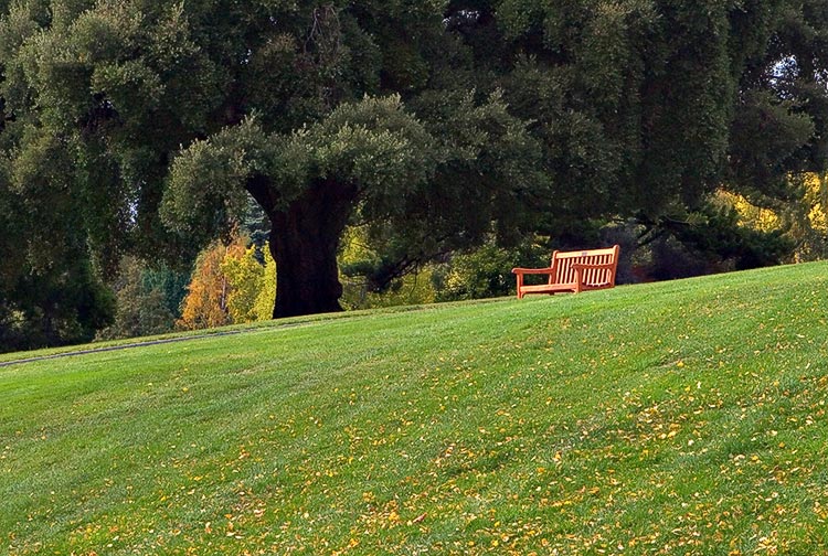 Hobart Botanical Gardens