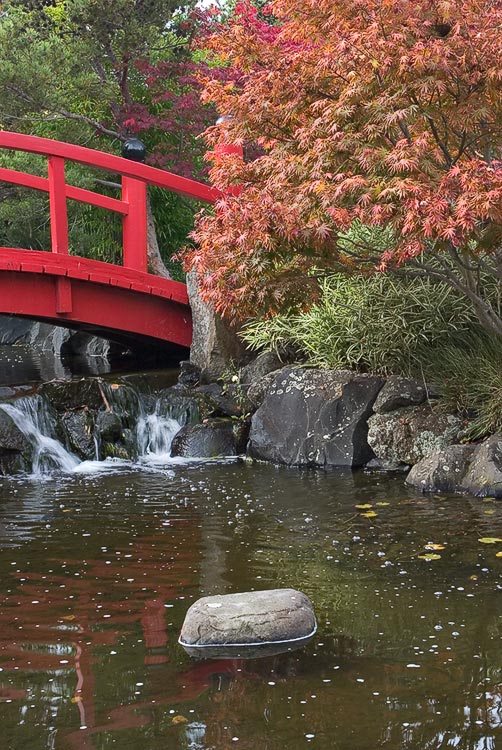 Hobart Botanical Gardens