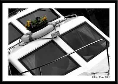 20050512 Boat & Pansies