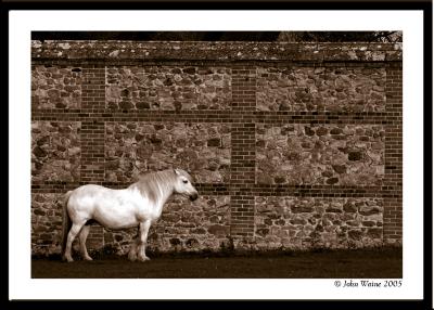 Pony and Flint Wall