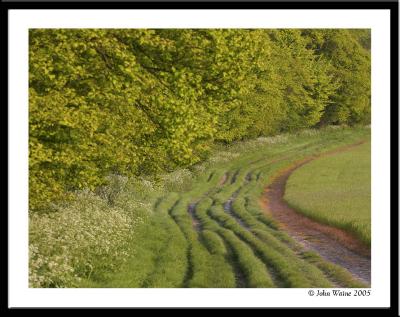 Green Road