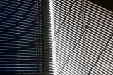 Parallel
