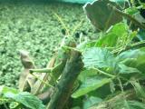 DSCF1399.JPG