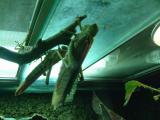 DSCF1400.JPG