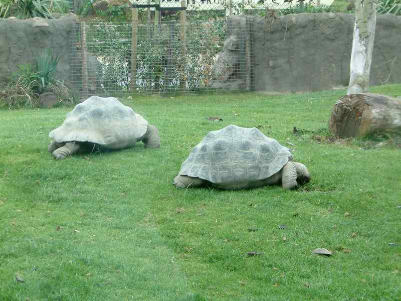 DSCF1446.JPG