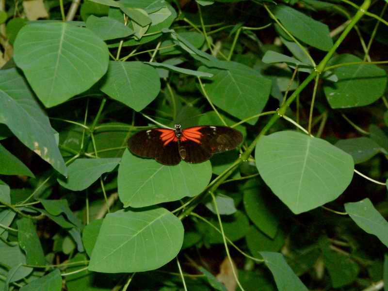 DSCF1447.jpg
