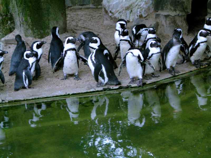 DSCF1452.jpg