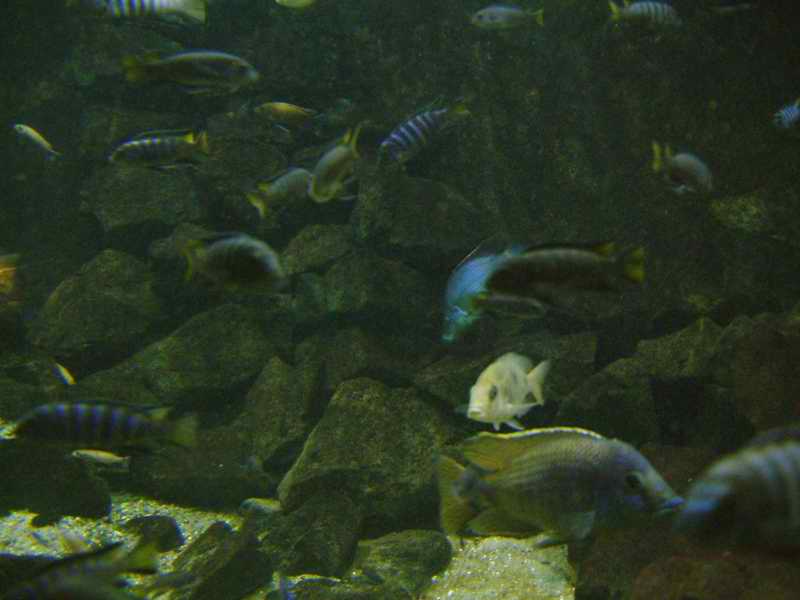 DSCF1394.jpg