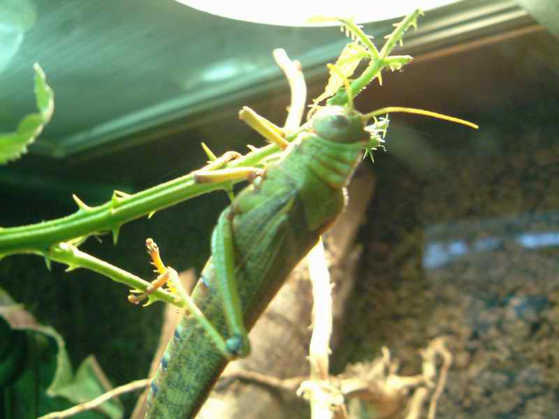 DSCF1398.JPG