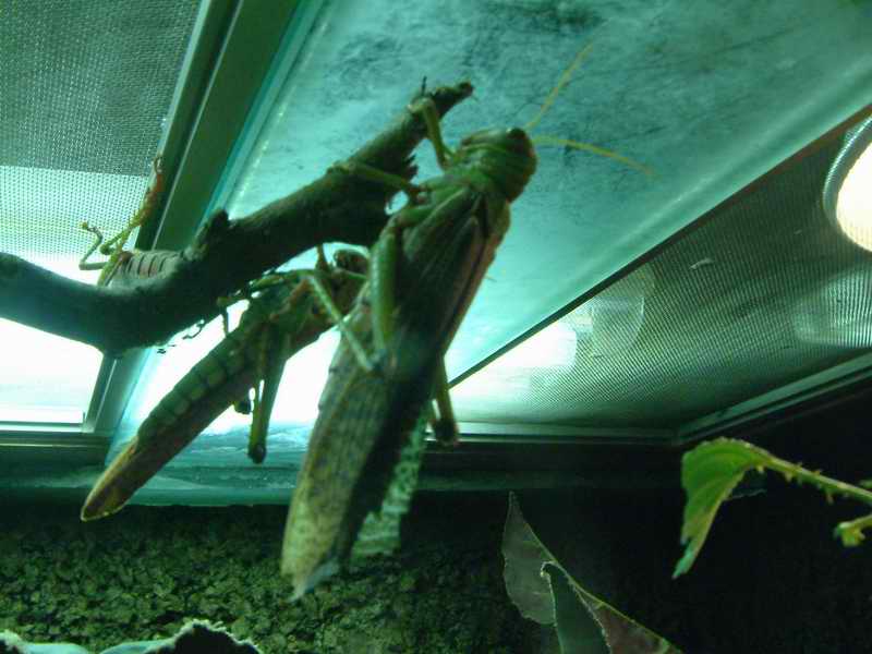 DSCF1400.JPG