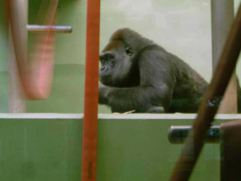 DSCF1416.jpg