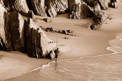 DSC_3571-21-05-05-fishsepia.jpg