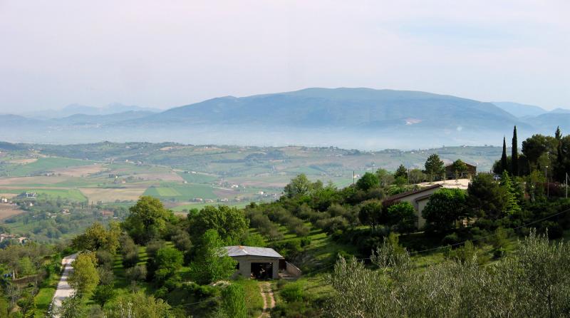 More views from the terrace