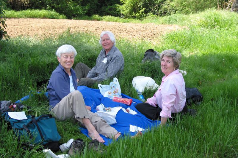 Picnic