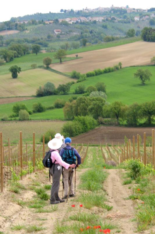 Looking back at Montefalco